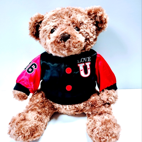 EUC Dan Dee Collector's Plush 17 " Brown Teddy Bear with Love U on the jacket - Picture 2 of 14